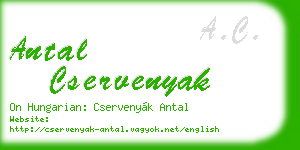 antal cservenyak business card